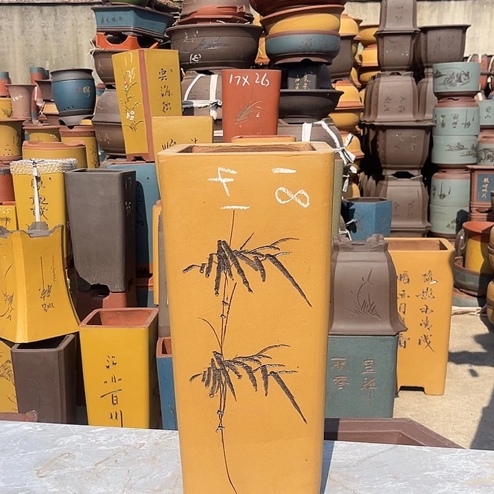 紫砂紫砂花盆盆栽