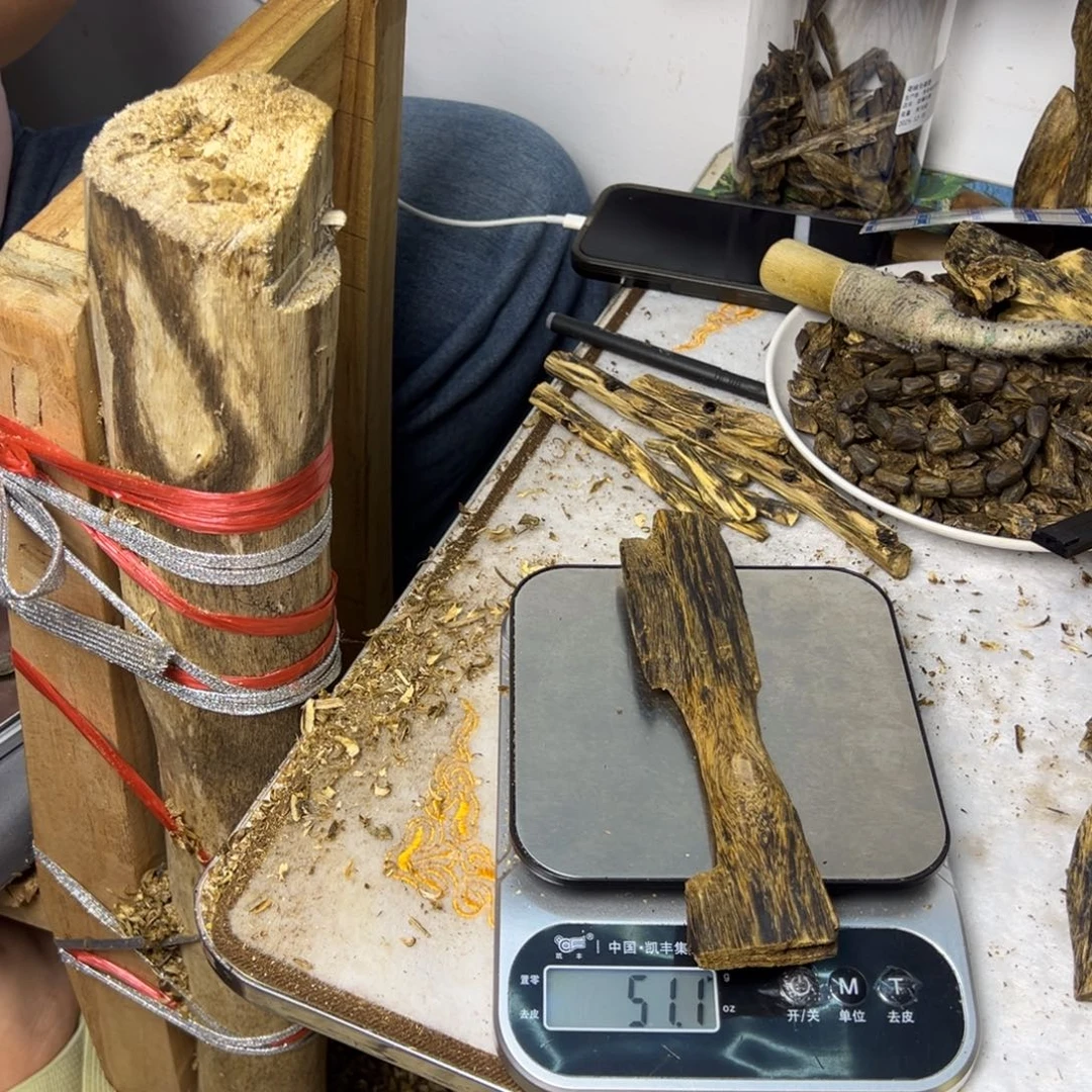 线香奇楠虫漏香51克