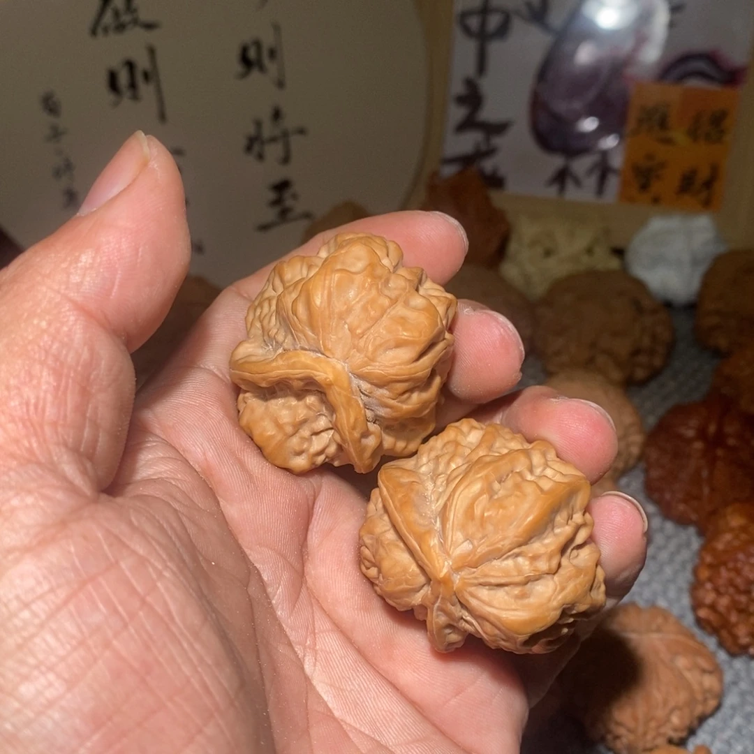 蛤蟆头。坐佛金蟾。