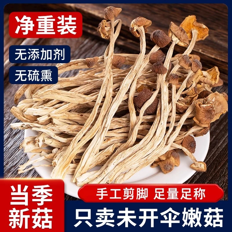 古田茶树菇干货不开伞切根新货菌菇农家自产特产