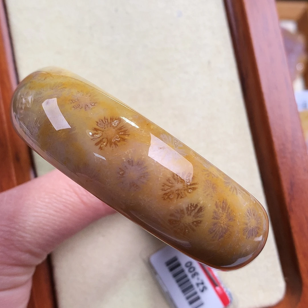 硅化珊瑚（珊瑚玉）未镶嵌69号54.5圈