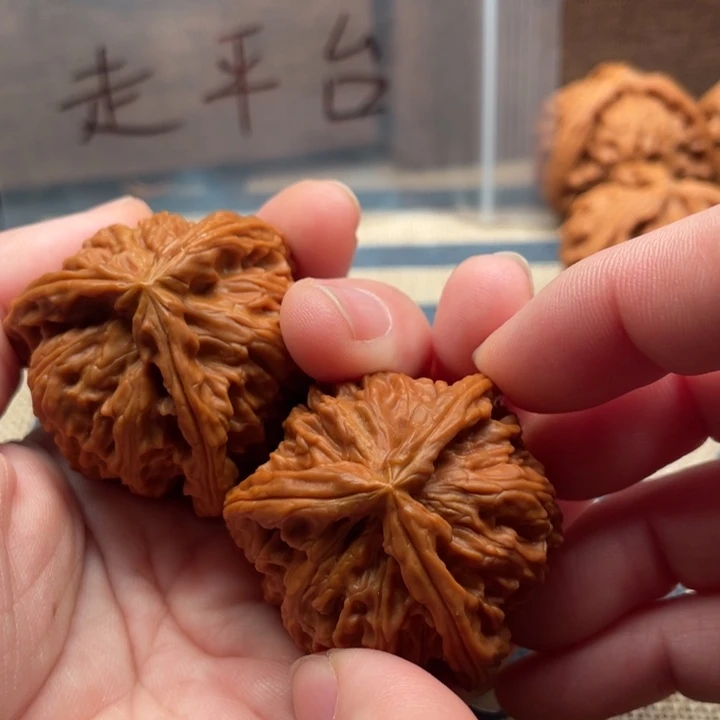 小****核桃白狮子40核桃