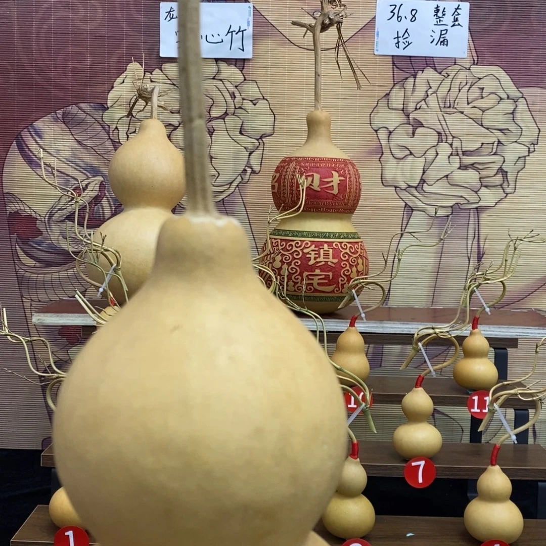 土***彭啊啊啊啊啊啊啊啊啊啊啊啊啊啊啊