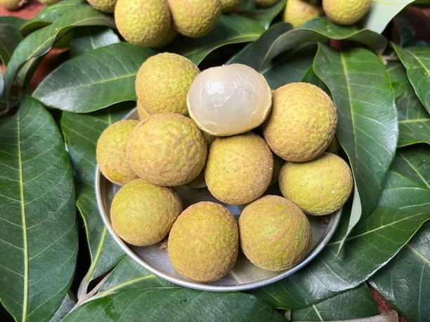 【顺丰包邮老树龙眼】茂名高州（50年老树石硖龙眼）不泡药水不泡冰水