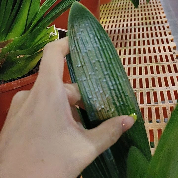 完全开放zjhchjkn