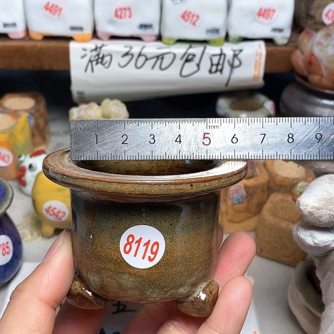 红陶拍5送一个小