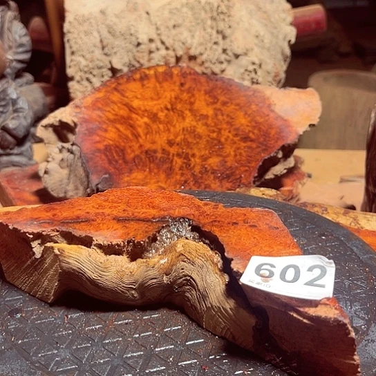 大果紫檀（缅甸花梨）