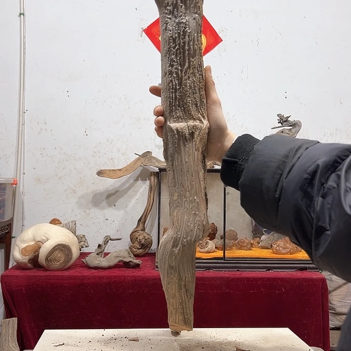 柏木神****？我们的生活也是