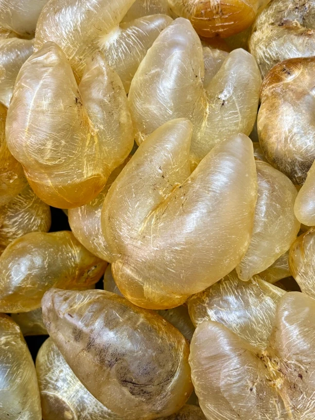 24头鸡泡胶 （1-500g，直播间可先现称重）