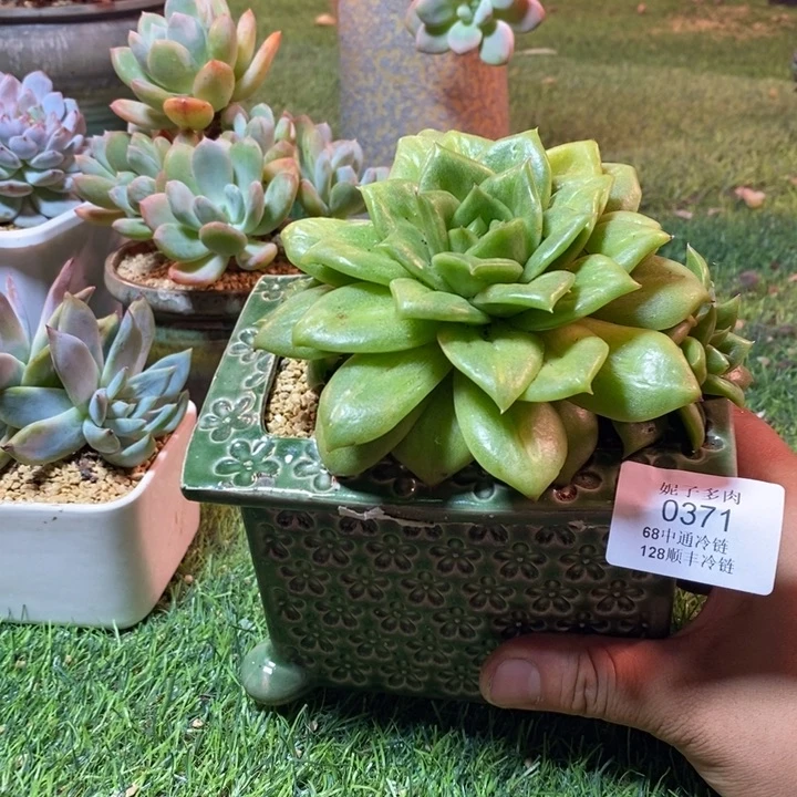 0371啊啊啊啊啊啊啊啊啊