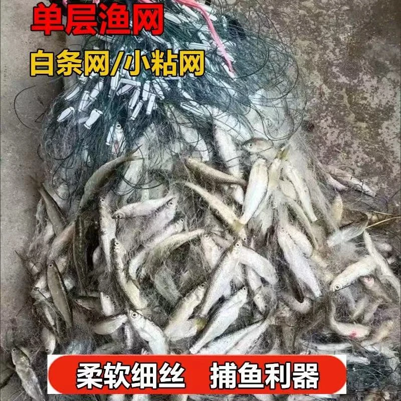 白条网鱼网粘网单层拎纲小餐条网浮网沉网渔网捕鱼6分1指丝网三层