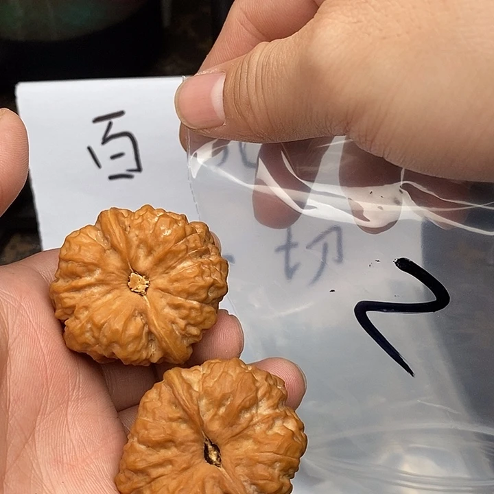 吊坠文玩核桃W96496964649749964