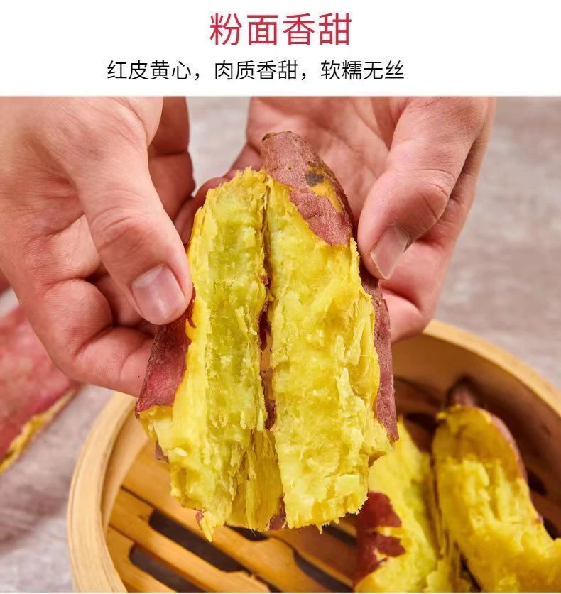 正宗黄心蜜薯新鲜现挖软糯香甜沙地番薯粗粮代餐