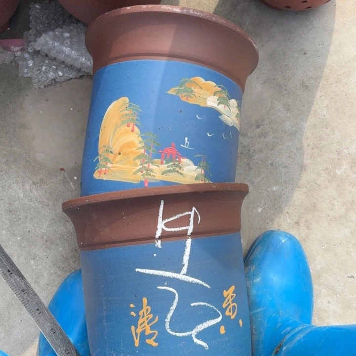 花盆紫砂紫砂的花