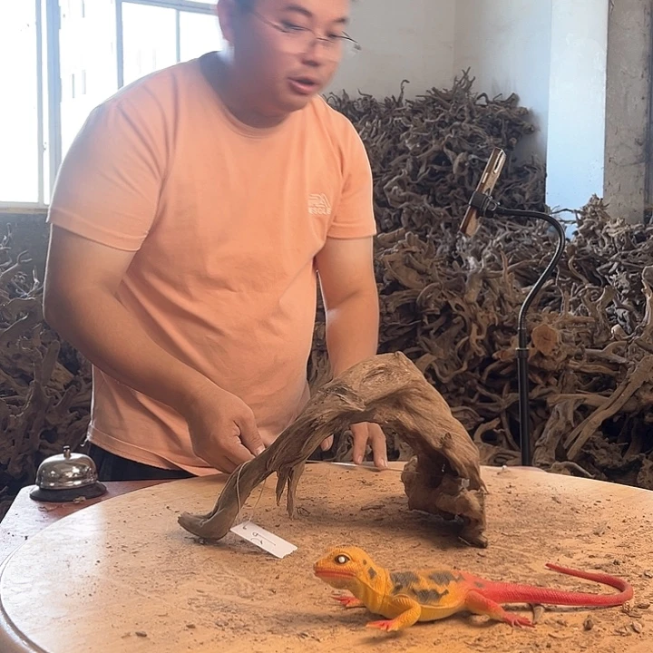木302020 鱼缸造景根雕艺术29