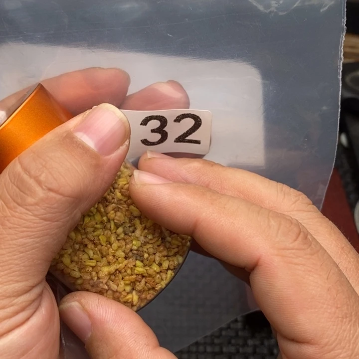 科檀（科特迪瓦檀木）