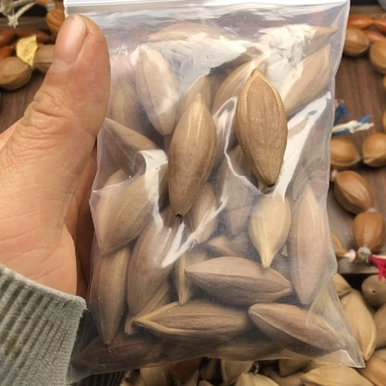 吊坠橄榄核直心柳叶核袋装