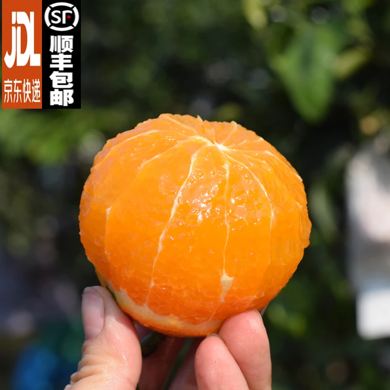 【田觅鲜】四川爱媛38号果冻橙 5斤 单果75mm+