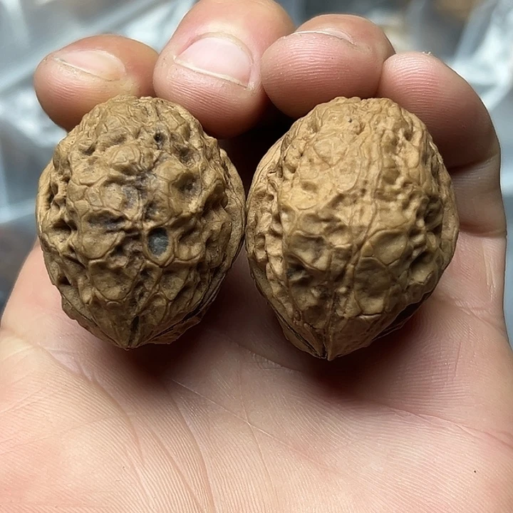 文玩核桃把件64号飞蟾36尺