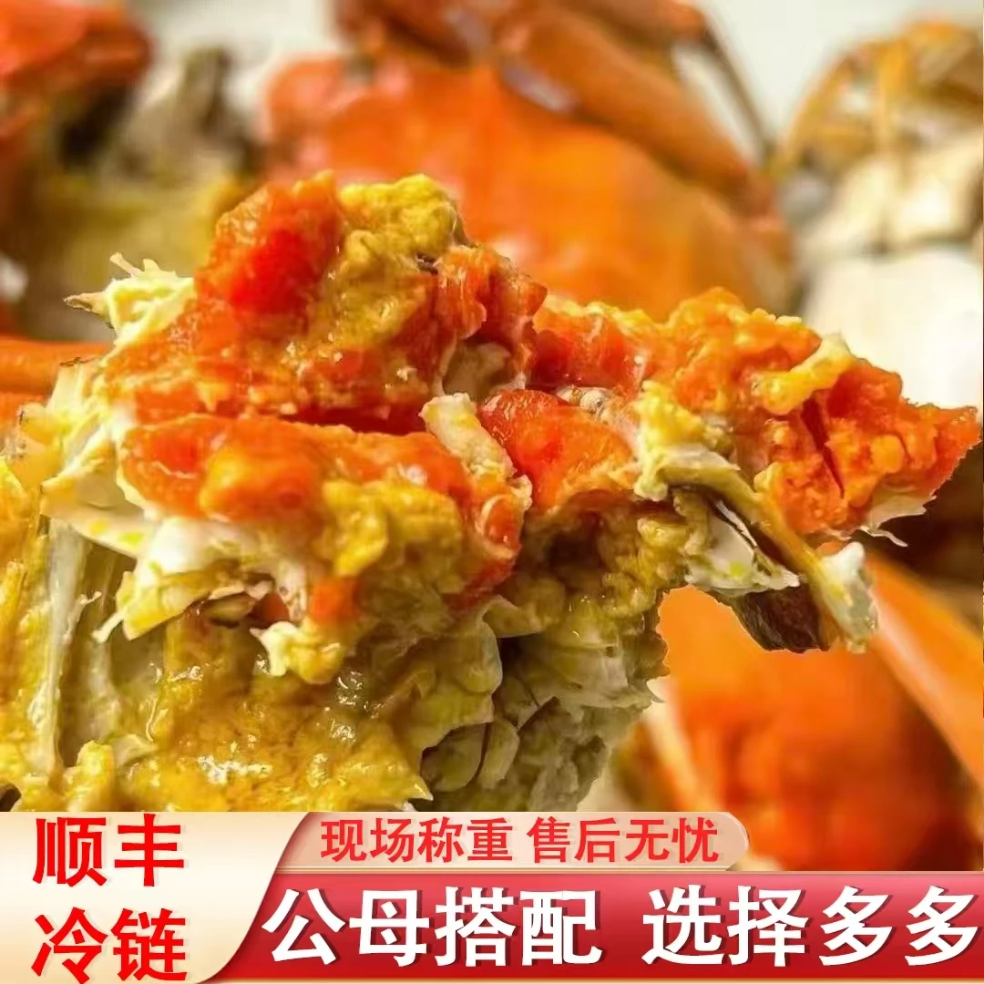 【活蟹】江苏老头蟹河蟹小螃蟹公母1.2-1.5两混搭8对16只顺丰冷链