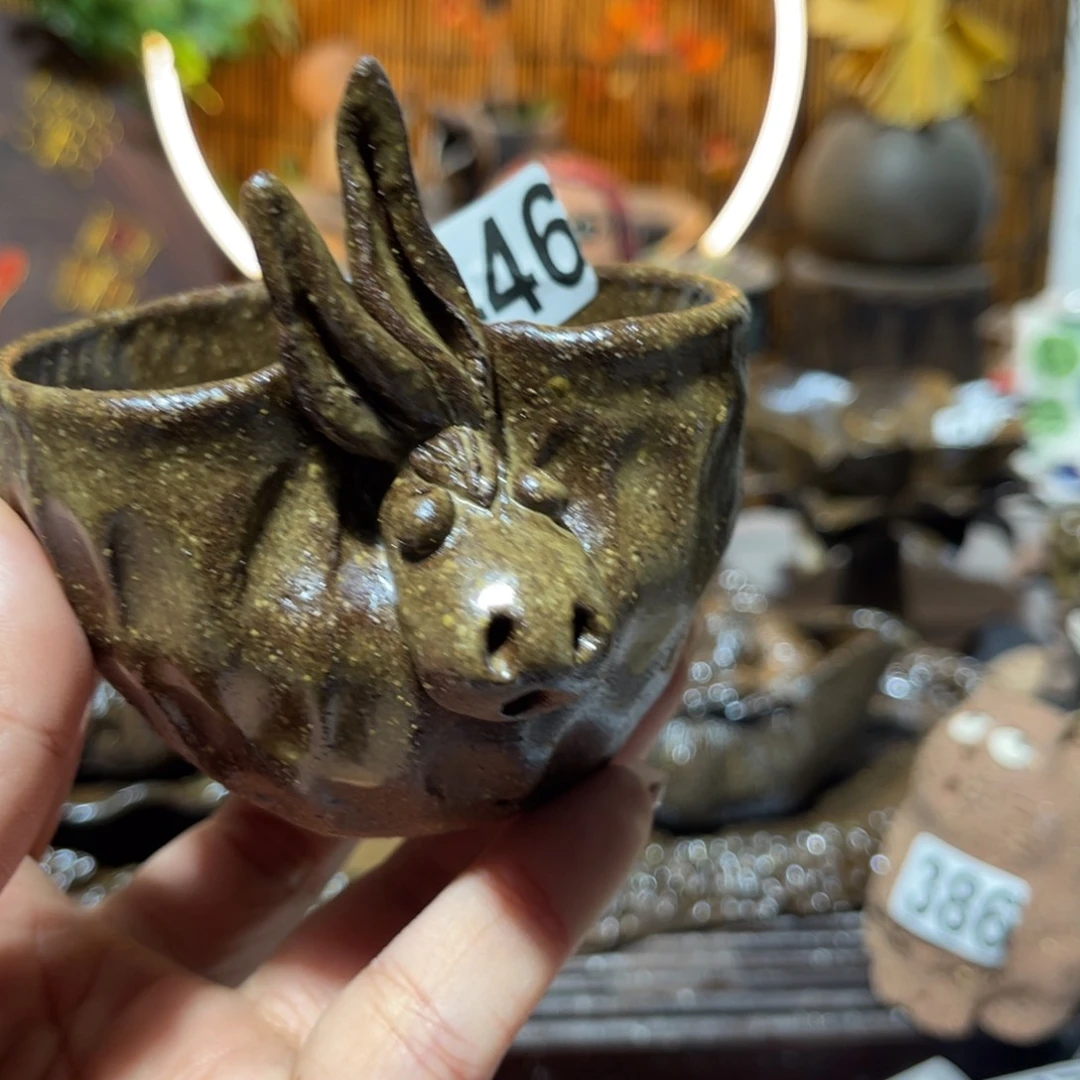 木村信弘柴烧保平