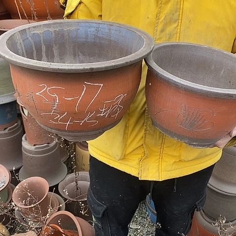 紫砂中国宜兴紫砂花，