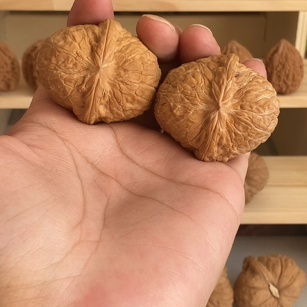 文玩核桃吊坠肚46尺南瓜墩，全品