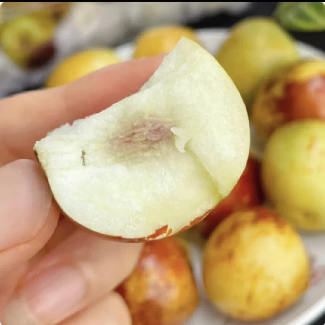 山东沾化现摘脆甜冰糖冬枣当季新鲜水果冬枣