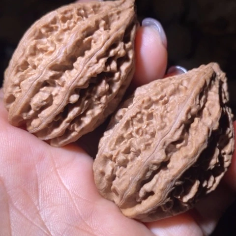 文玩核桃把件东北野生楸子小美02