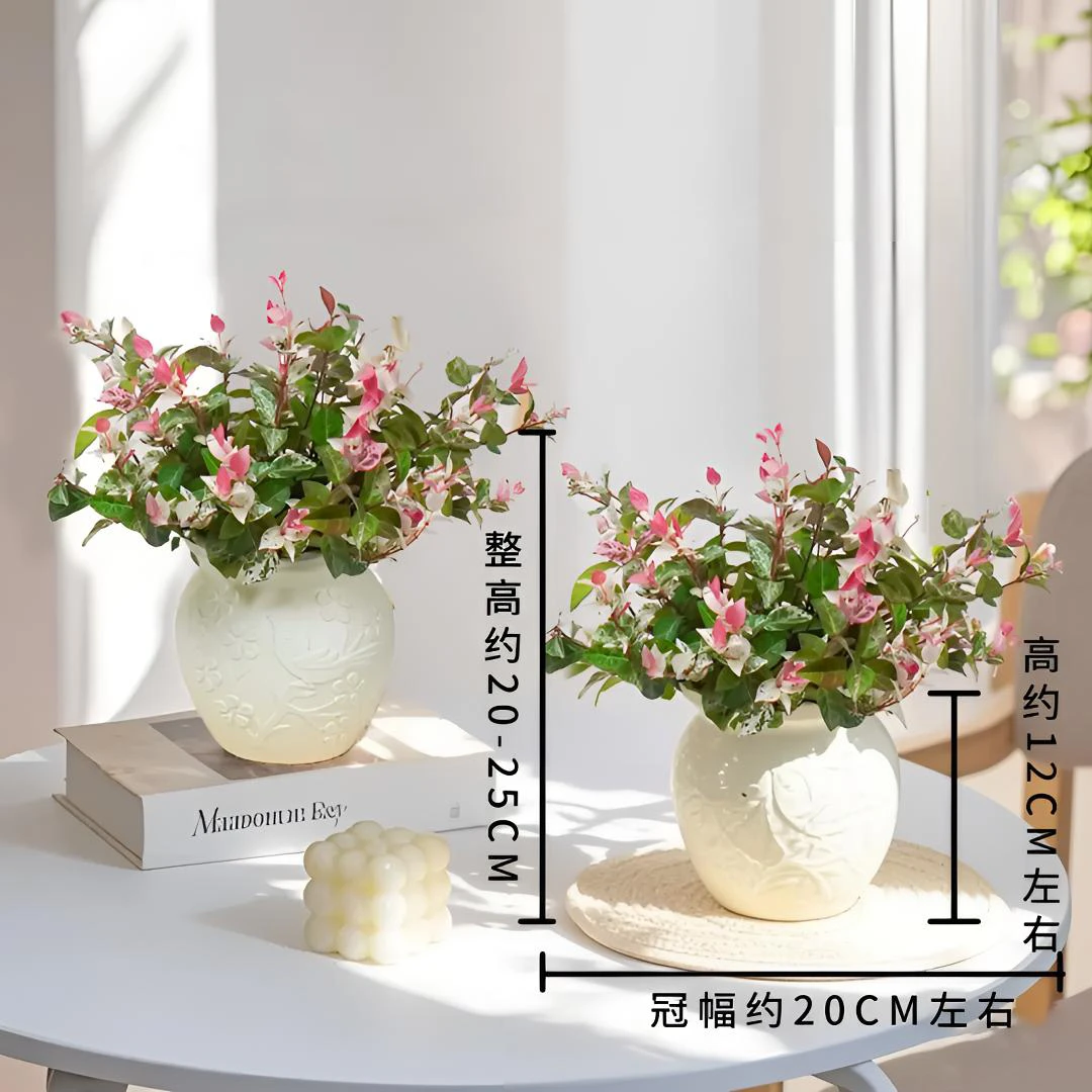 花叶络石室内绿植清新四季庭院观景客厅观赏绿植