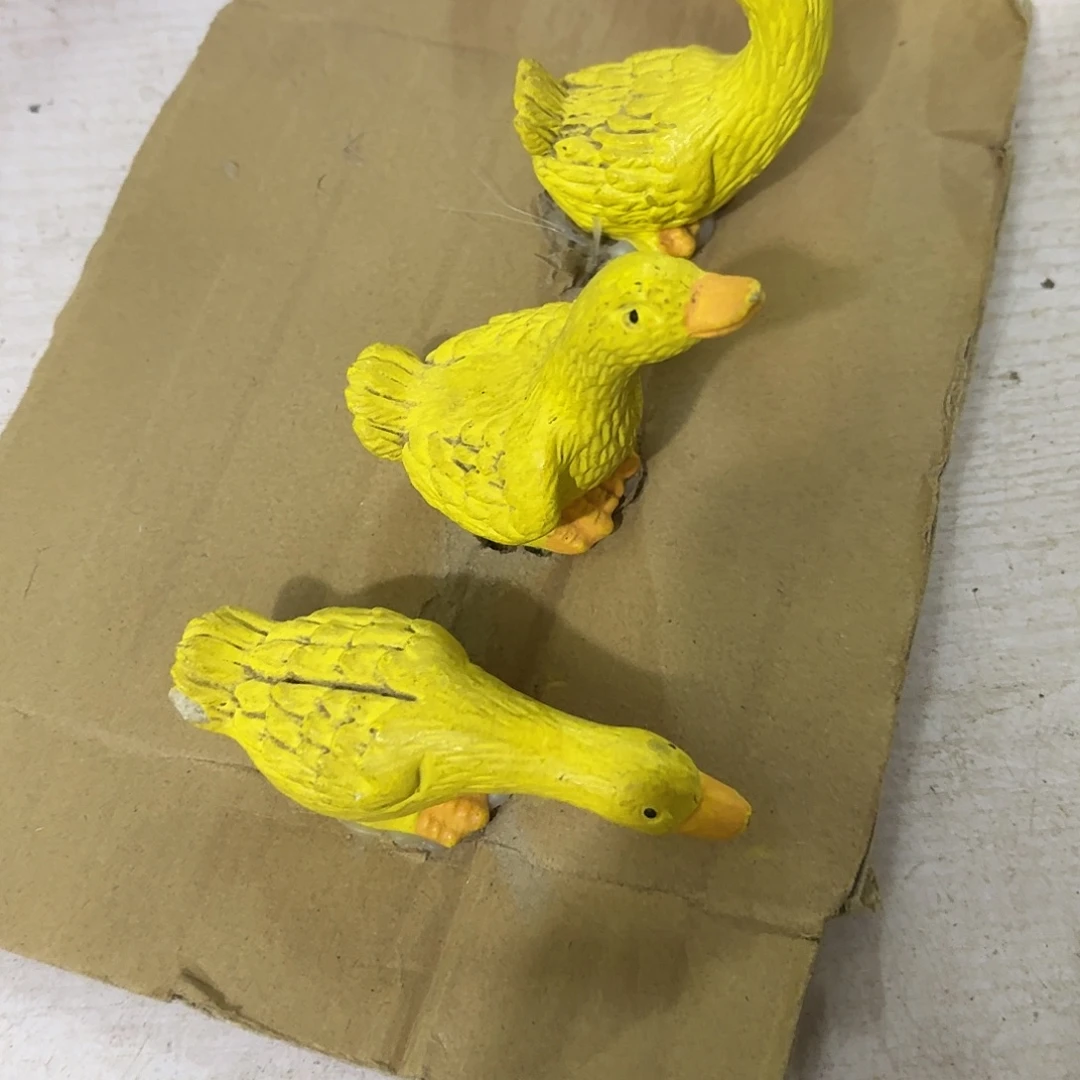 核桃木/黑胡桃（胡桃木）