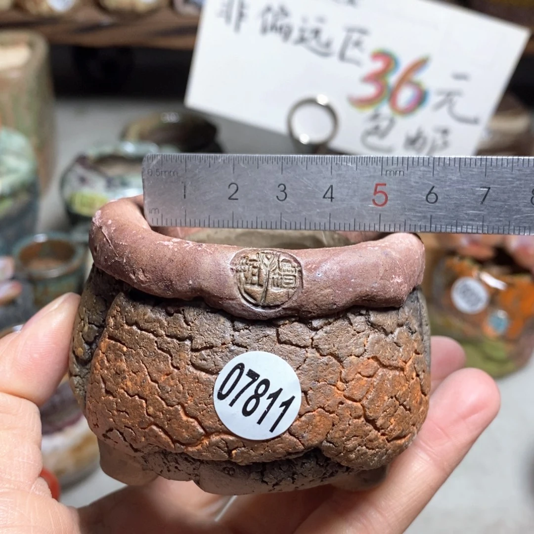 花盆拍3送一个小礼物