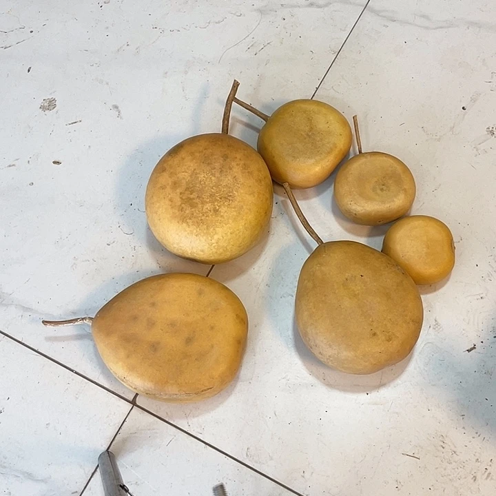 影***动羊羔毛哈哈哈哈哈哈哈哈