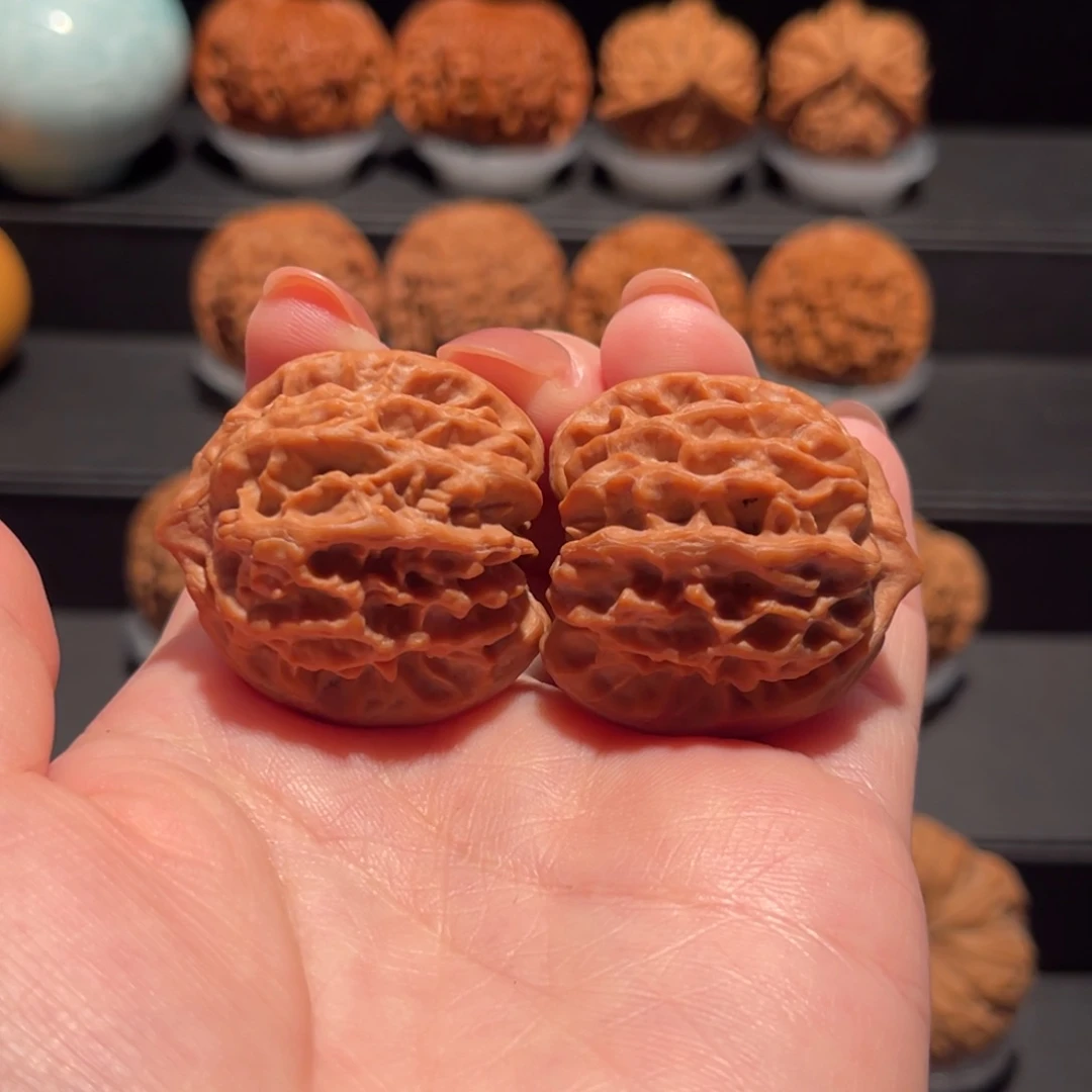 曹大龙34精品，全品637