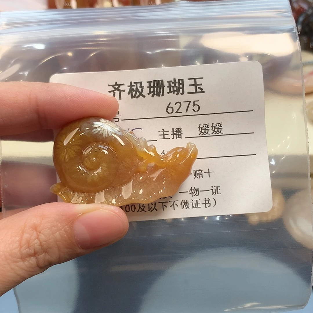 颈饰未镶嵌硅化珊瑚（珊瑚玉）p****k