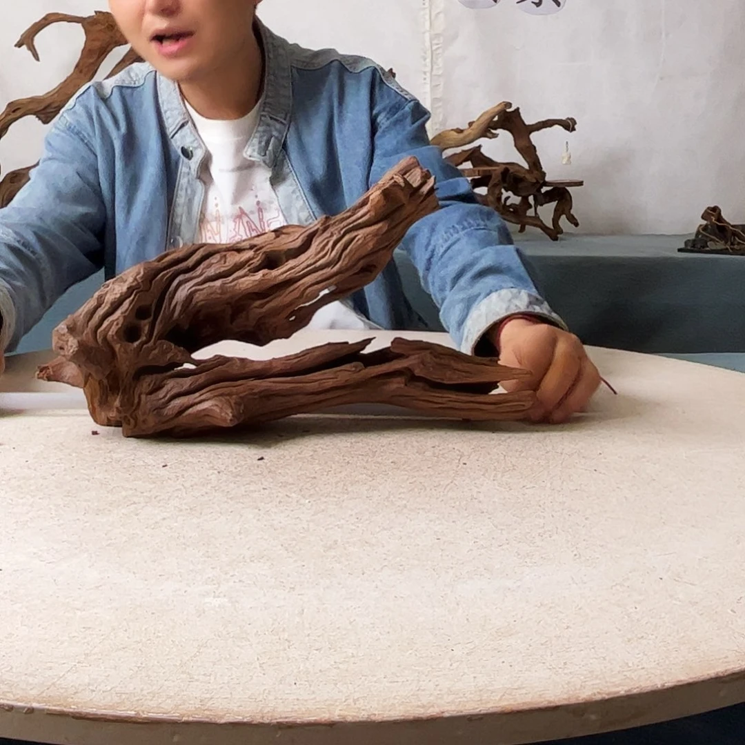 37.22.9 沉木造景爬宠造景