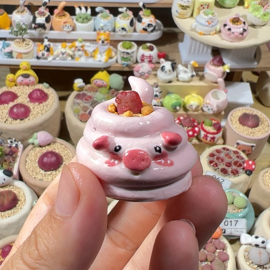 多肉植物84号拇指盆