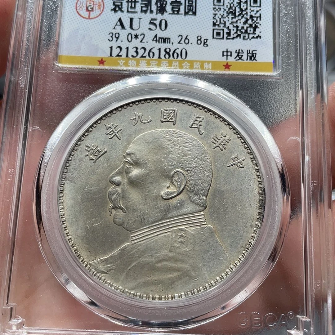 书***涯银包真包老大头九年1860