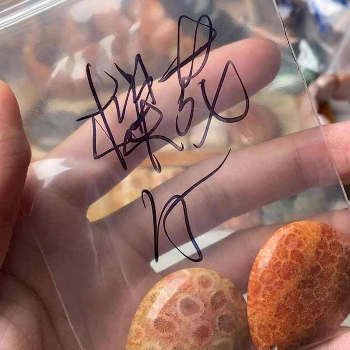 *****硅化玉未镶嵌珊瑚玉