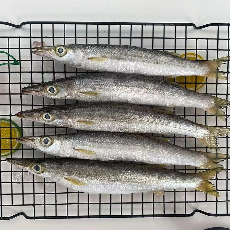 苏君鱼新鲜海捕海鱼顺丰发货次日达