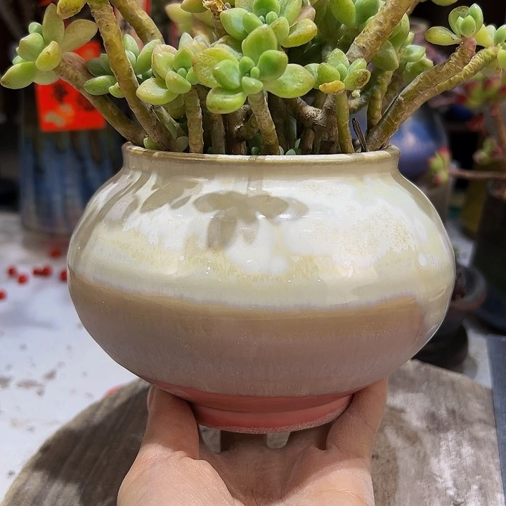 景德镇陶瓷艺术2单包邮