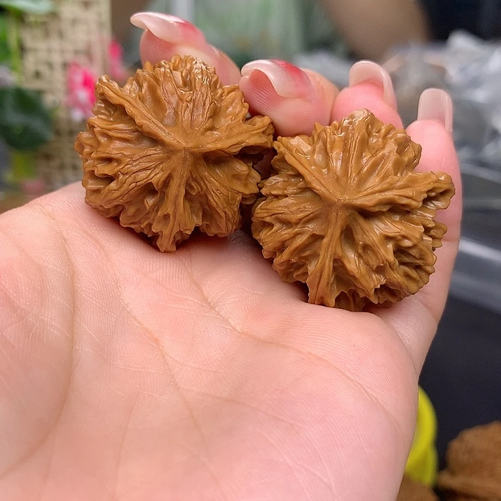 !34三棱p jjjtttp