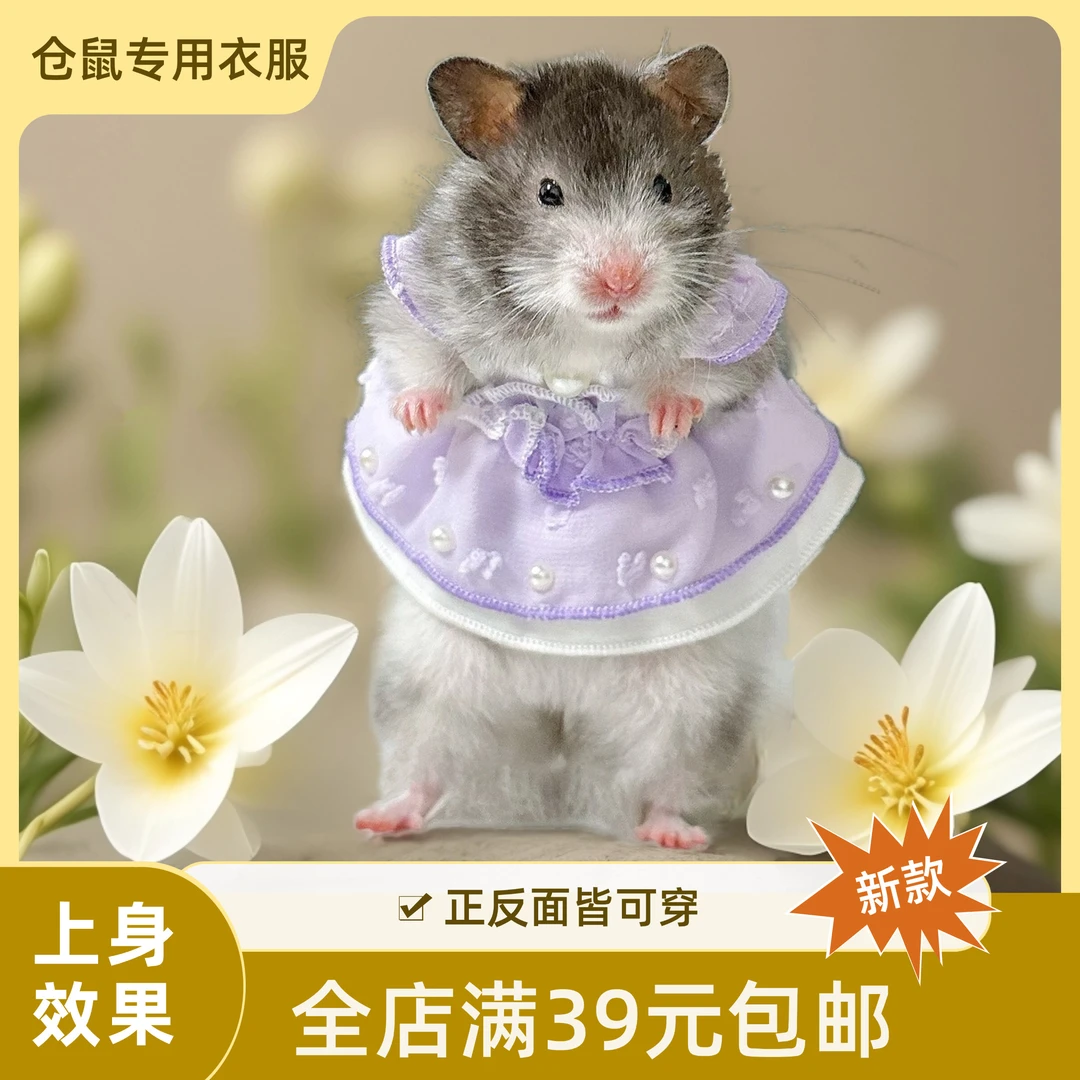 仓鼠衣服金丝熊衣服花枝鼠衣服蜜袋鼯衣服 手工高定 满39元包邮