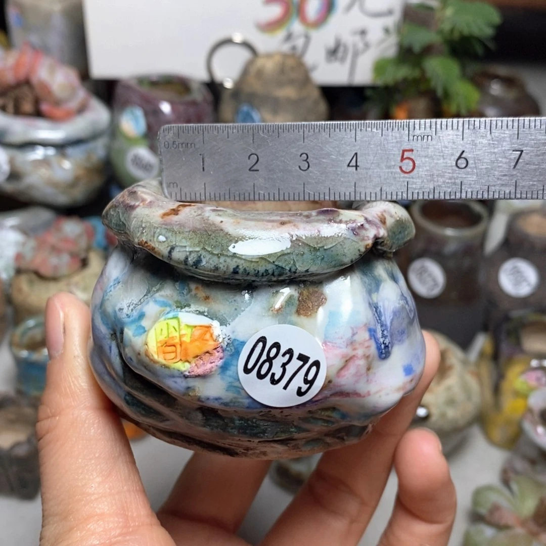 花盆拍3送一个小礼物