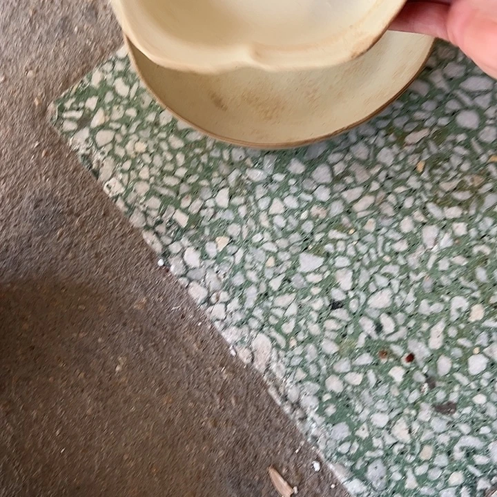 陶默认瑕疵商品9寸➕花辨