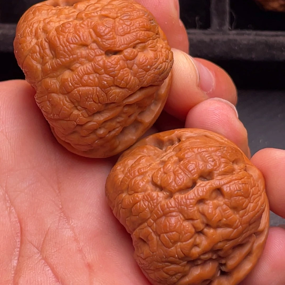 文玩核桃把件秦岭野生核桃