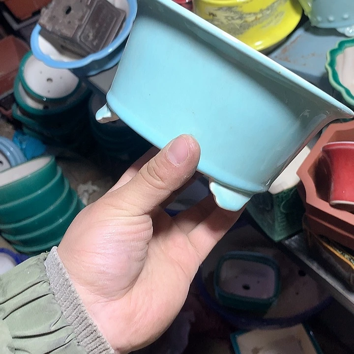 紫砂优秀青年科技学院教授一