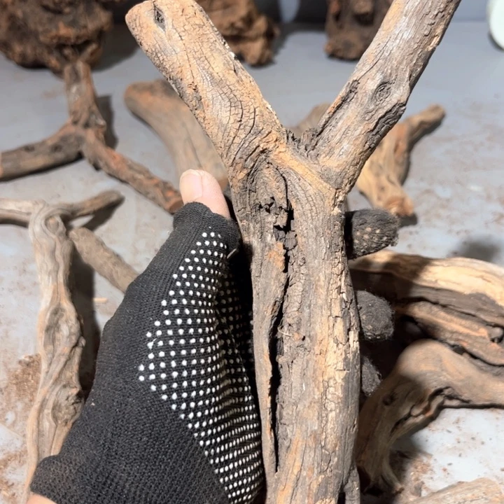 紫***）大果紫檀（缅甸花梨）