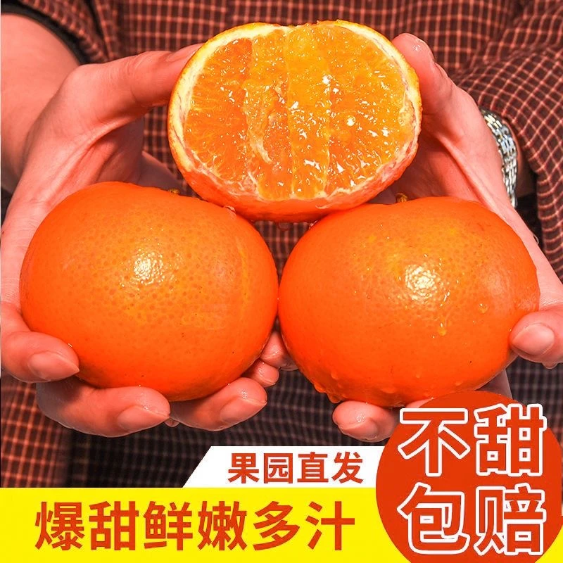 当季新鲜采摘正宗武鸣沃柑多汁爽口香甜化渣