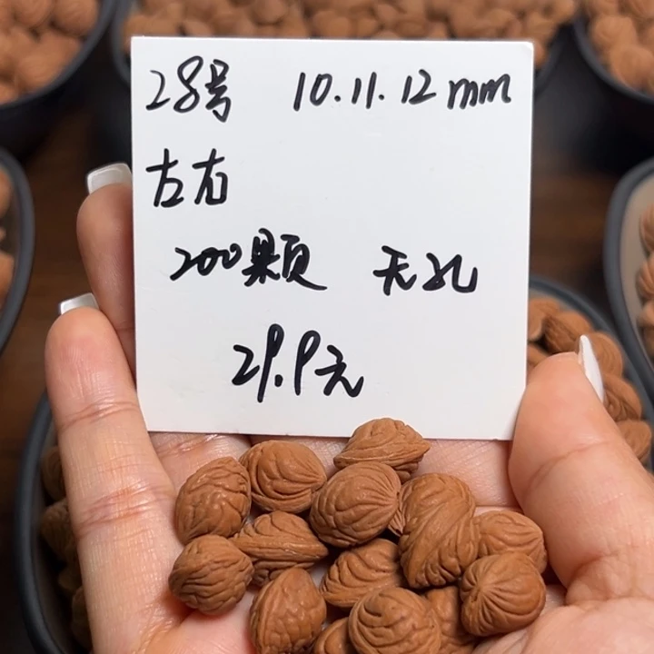 木质类雕刻料肚卡10-11-12 200颗